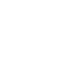 Partnership